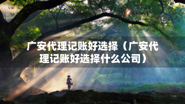 廣安代理記賬好選擇（廣安代理記賬好選擇什么公司）