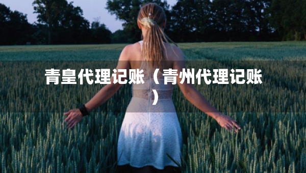 青皇代理記賬（青州代理記賬）