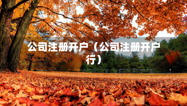 公司注冊開戶（公司注冊開戶行）