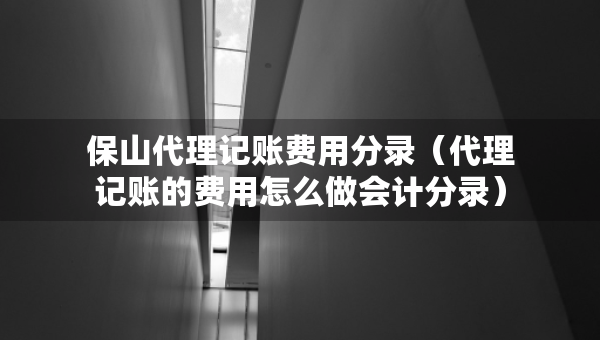 保山代理記賬費(fèi)用分錄（代理記賬的費(fèi)用怎么做會(huì)計(jì)分錄）