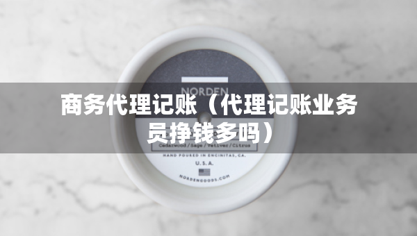 商務(wù)代理記賬（代理記賬業(yè)務(wù)員掙錢多嗎）