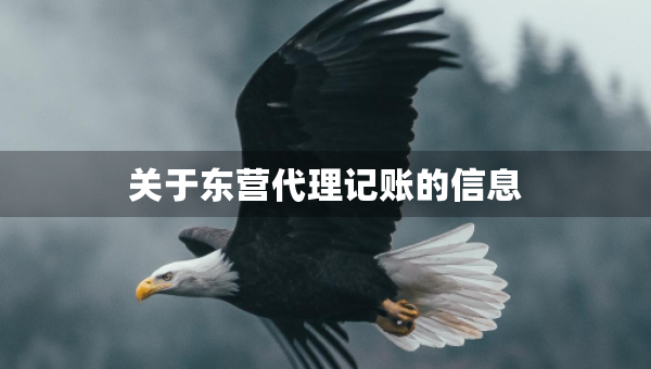 關(guān)于東營(yíng)代理記賬的信息