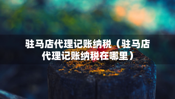 駐馬店代理記賬納稅（駐馬店代理記賬納稅在哪里）