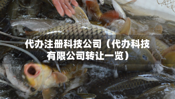 代辦注冊科技公司（代辦科技有限公司轉(zhuǎn)讓一覽）