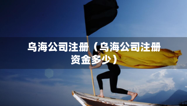 烏海公司注冊（烏海公司注冊資金多少）