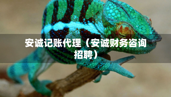 安誠記賬代理（安誠財務(wù)咨詢招聘）