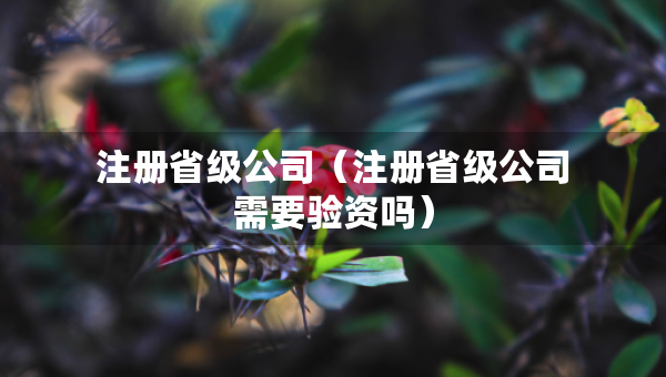 注冊(cè)省級(jí)公司（注冊(cè)省級(jí)公司需要驗(yàn)資嗎）