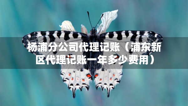 楊浦分公司代理記賬（浦東新區(qū)代理記賬一年多少費用）