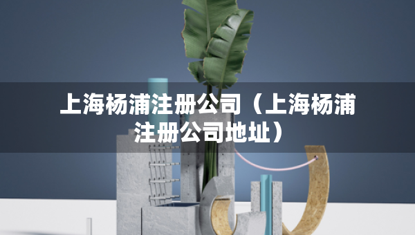 上海楊浦注冊公司（上海楊浦注冊公司地址）