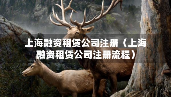 上海融資租賃公司注冊(cè)（上海融資租賃公司注冊(cè)流程）