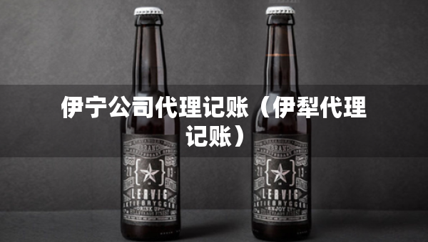 伊寧公司代理記賬（伊犁代理記賬）
