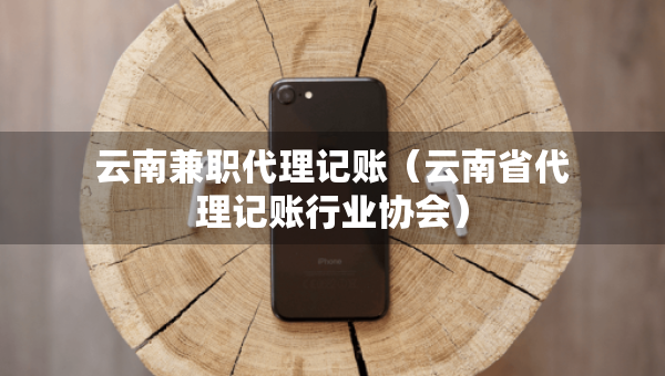 云南兼職代理記賬（云南省代理記賬行業(yè)協(xié)會(huì)）