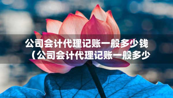 公司會計代理記賬一般多少錢（公司會計代理記賬一般多少錢一個月）