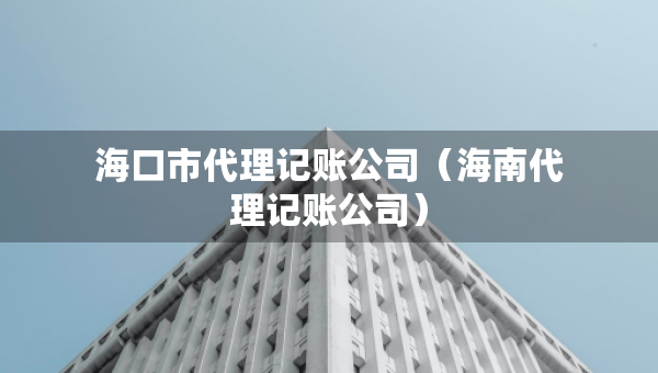 ?？谑写碛涃~公司（海南代理記賬公司）