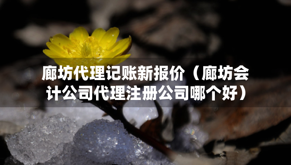 廊坊代理記賬新報價（廊坊會計公司代理注冊公司哪個好）