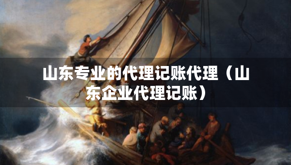 山東專業(yè)的代理記賬代理（山東企業(yè)代理記賬）