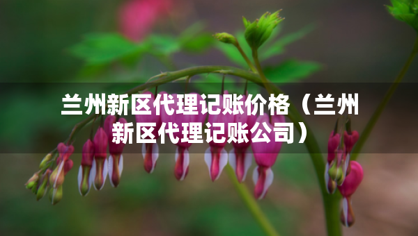 蘭州新區(qū)代理記賬價(jià)格（蘭州新區(qū)代理記賬公司）