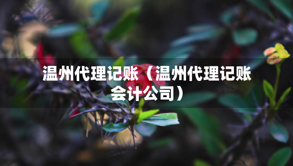 溫州代理記賬（溫州代理記賬會(huì)計(jì)公司）