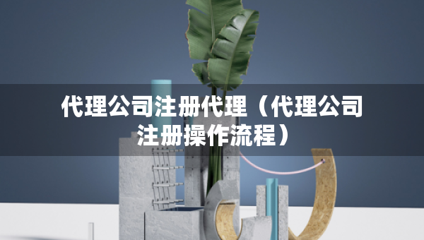 代理公司注冊代理（代理公司注冊操作流程）