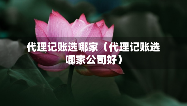 代理記賬選哪家（代理記賬選哪家公司好）