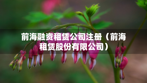 前海融資租賃公司注冊(cè)（前海租賃股份有限公司）