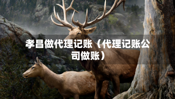 孝昌做代理記賬（代理記賬公司做賬）