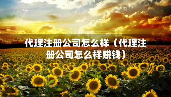 代理注冊(cè)公司怎么樣（代理注冊(cè)公司怎么樣賺錢）