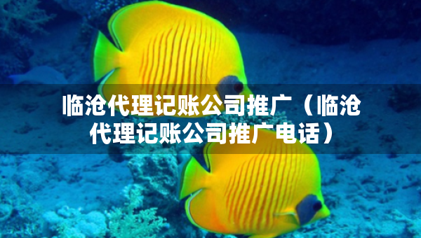 臨滄代理記賬公司推廣（臨滄代理記賬公司推廣電話）