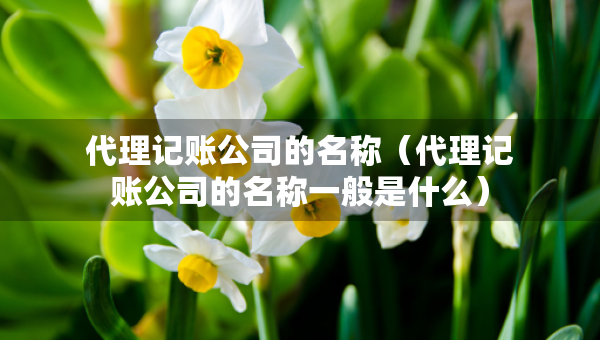 代理記賬公司的名稱（代理記賬公司的名稱一般是什么）
