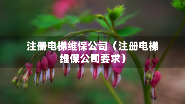 注冊(cè)電梯維保公司（注冊(cè)電梯維保公司要求）
