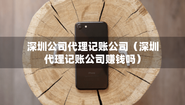 深圳公司代理記賬公司（深圳代理記賬公司賺錢嗎）