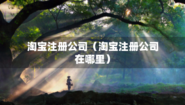 淘寶注冊(cè)公司（淘寶注冊(cè)公司在哪里）
