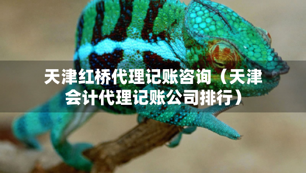 天津紅橋代理記賬咨詢（天津會(huì)計(jì)代理記賬公司排行）