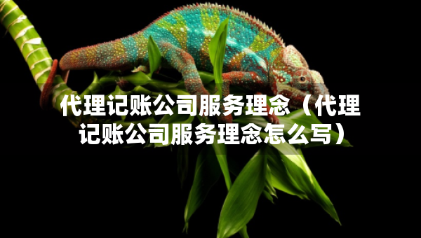 代理記賬公司服務(wù)理念（代理記賬公司服務(wù)理念怎么寫(xiě)）