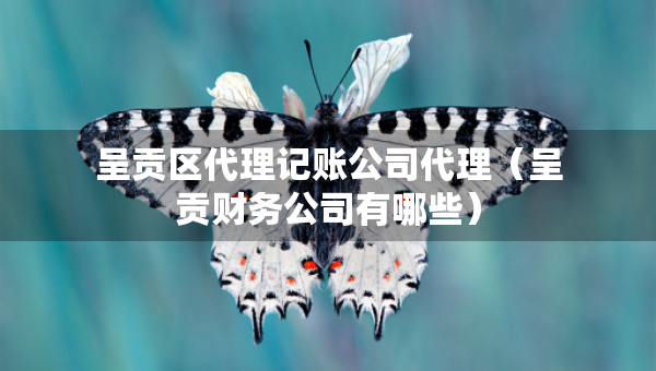 呈貢區(qū)代理記賬公司代理（呈貢財務(wù)公司有哪些）