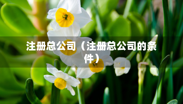注冊(cè)總公司（注冊(cè)總公司的條件）