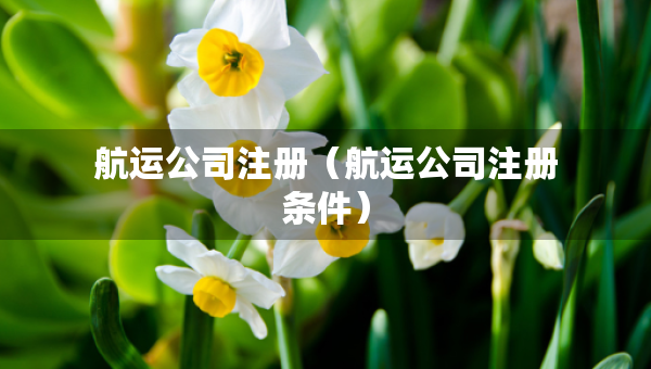 航運(yùn)公司注冊(cè)（航運(yùn)公司注冊(cè)條件）