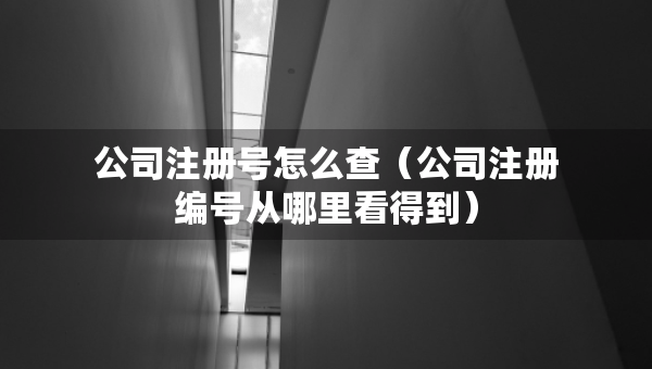 公司注冊號怎么查（公司注冊編號從哪里看得到）