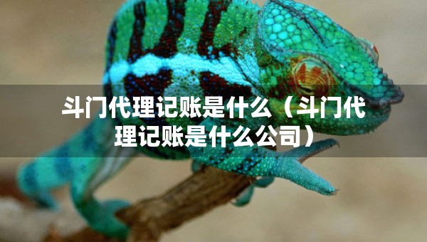 斗門代理記賬是什么（斗門代理記賬是什么公司）