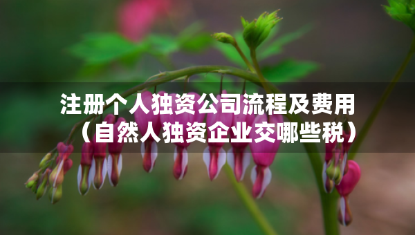 注冊個人獨(dú)資公司流程及費(fèi)用（自然人獨(dú)資企業(yè)交哪些稅）