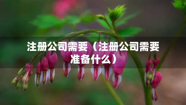 注冊(cè)公司需要（注冊(cè)公司需要準(zhǔn)備什么）
