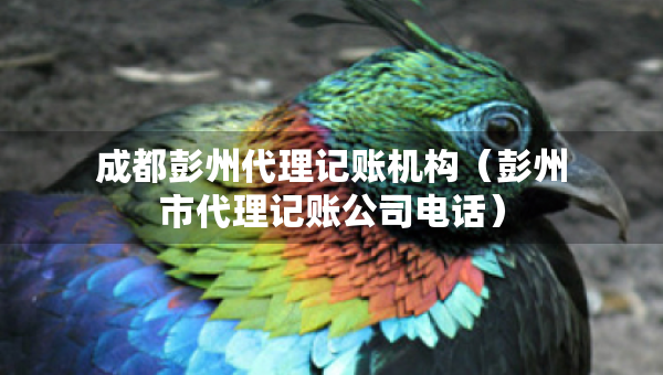 成都彭州代理記賬機構（彭州市代理記賬公司電話）