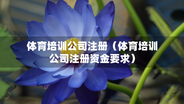 體育培訓(xùn)公司注冊（體育培訓(xùn)公司注冊資金要求）