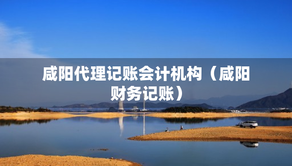 咸陽代理記賬會(huì)計(jì)機(jī)構(gòu)（咸陽財(cái)務(wù)記賬）