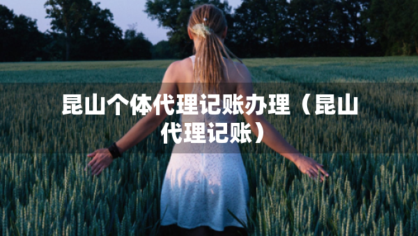 昆山個體代理記賬辦理（昆山 代理記賬）