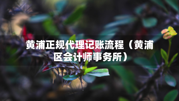 黃浦正規(guī)代理記賬流程（黃浦區(qū)會(huì)計(jì)師事務(wù)所）