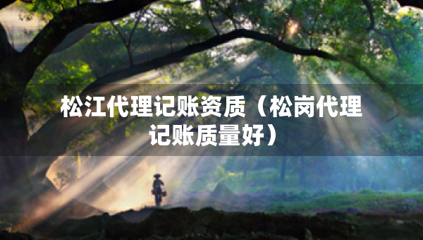 松江代理記賬資質(zhì)（松崗代理記賬質(zhì)量好）