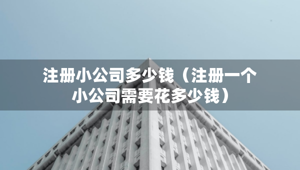 注冊小公司多少錢（注冊一個小公司需要花多少錢）