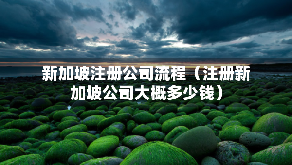 新加坡注冊公司流程（注冊新加坡公司大概多少錢）
