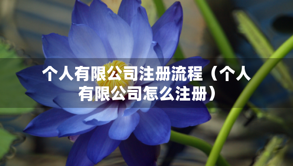 個人有限公司注冊流程（個人有限公司怎么注冊）